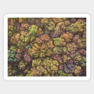 Aerial top down view of colorful autumn forest Sticker